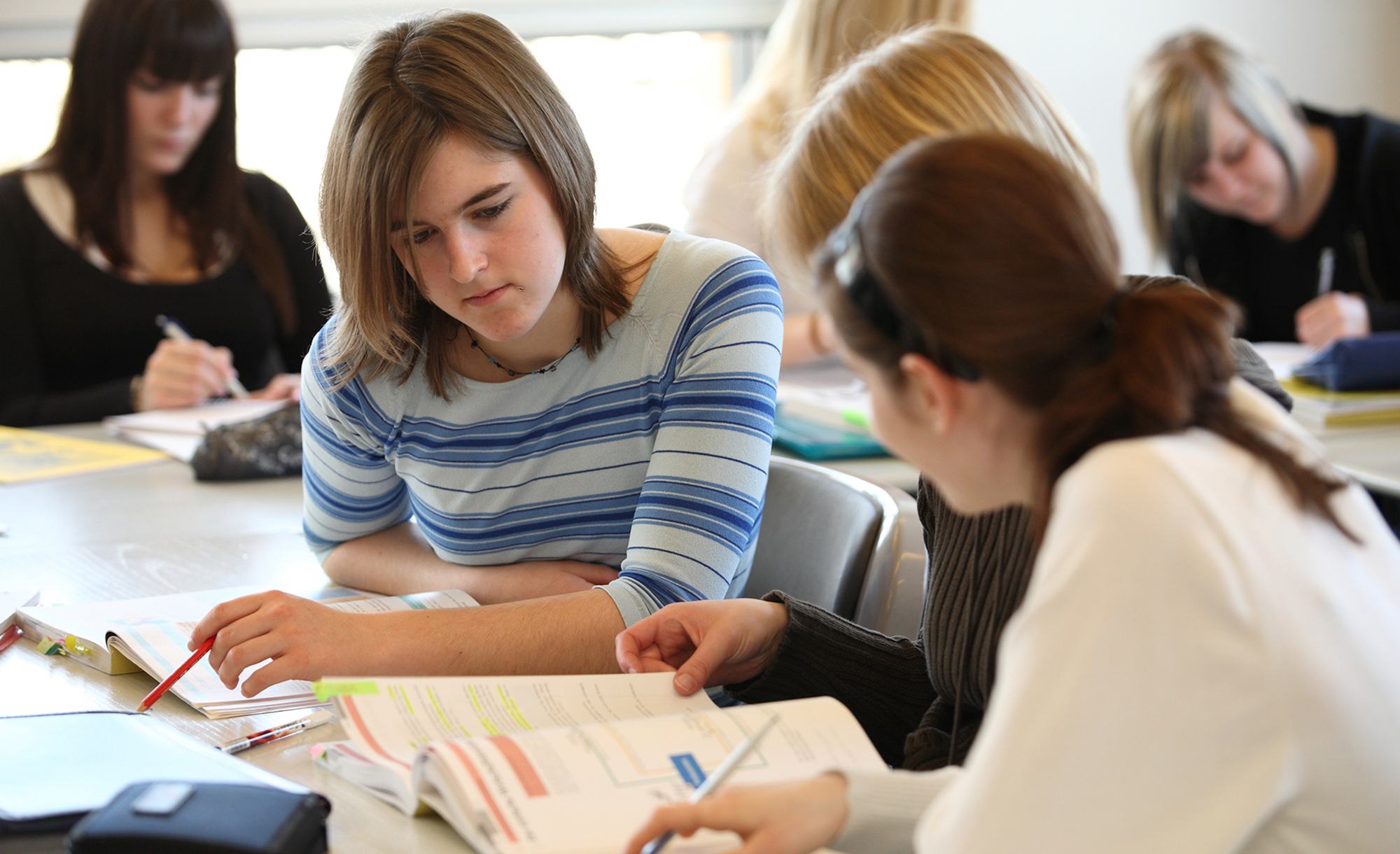 BZGS - Fachmittelschule, FMS Berufsfeld Gesundheit