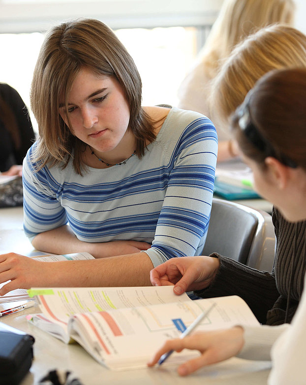 BZGS Zusatzangebote Grundbildung