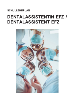 DA Schullehrplan für Lehrbeginn bis SJ 2023/24