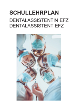 DA Schullehrplan für Lehrbeginn ab SJ 2024/25