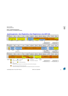 HF Pflege SA Ausbildungsstruktur SAPF-V26